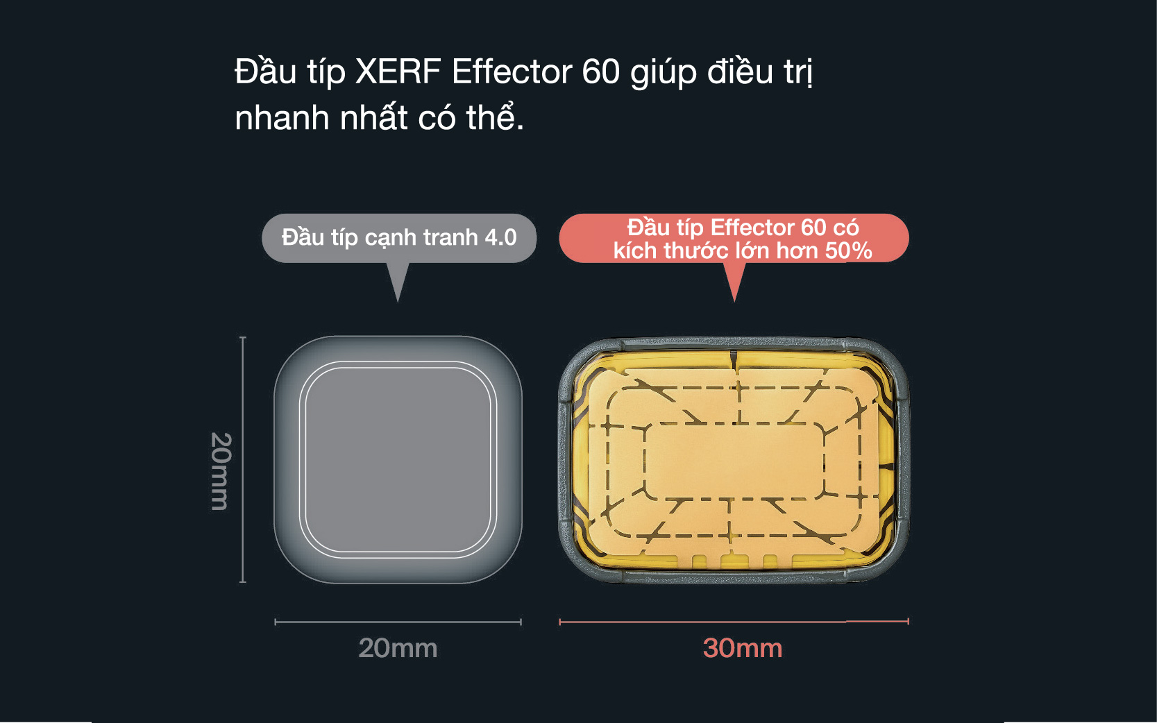 Đầu típ XERF 60 lớn 20x30mm